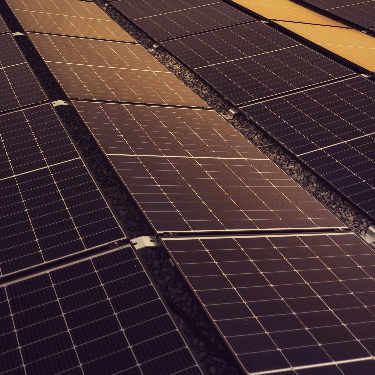 Why Module-Level RSD is Critical for Thai Solar Installations(pic1)