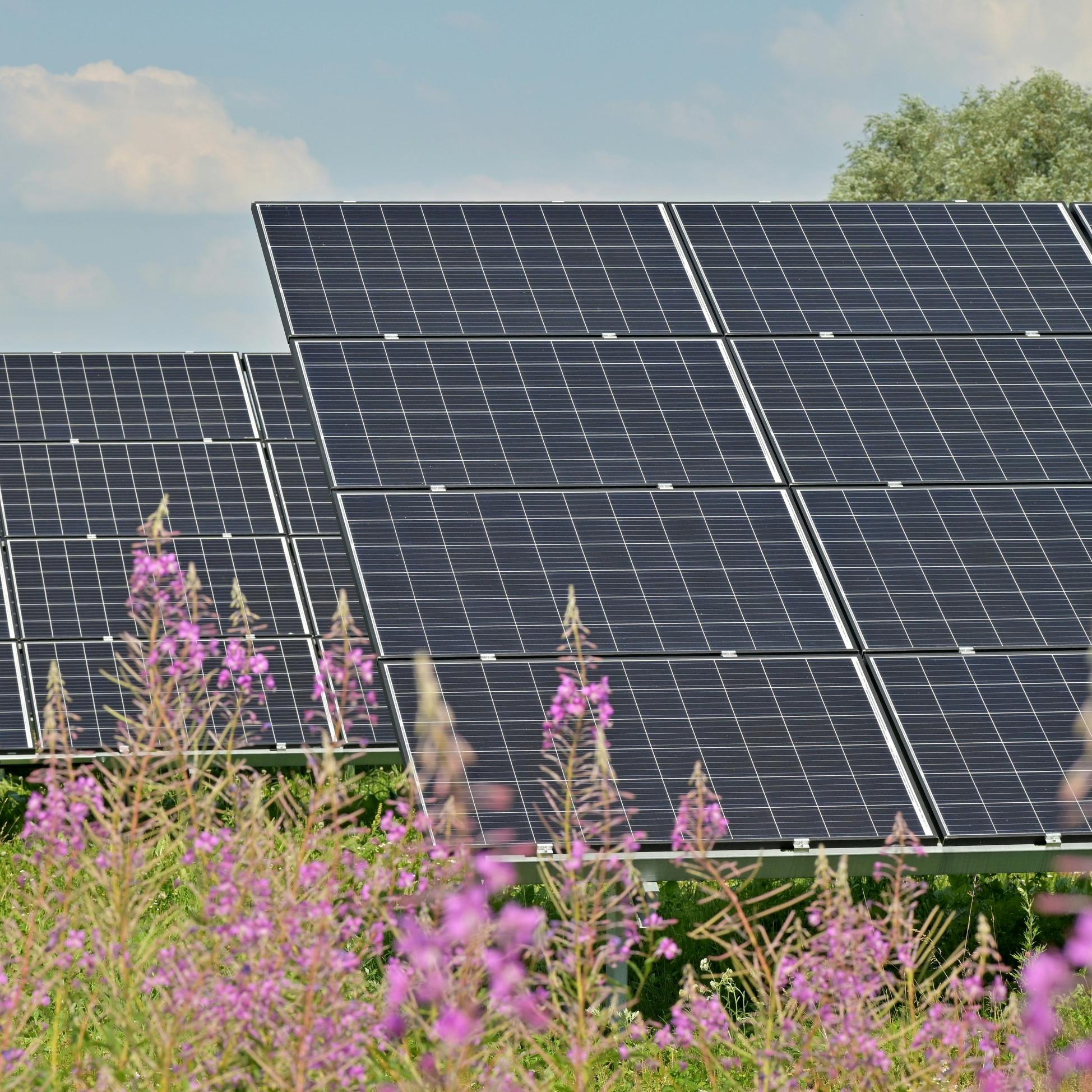 Why Module-Level RSD is Critical for Thai Solar Installations